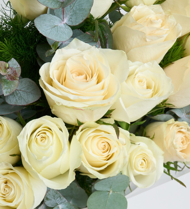 Beyaz Buket Kağıdında 20'li Beyaz Gül Buketi