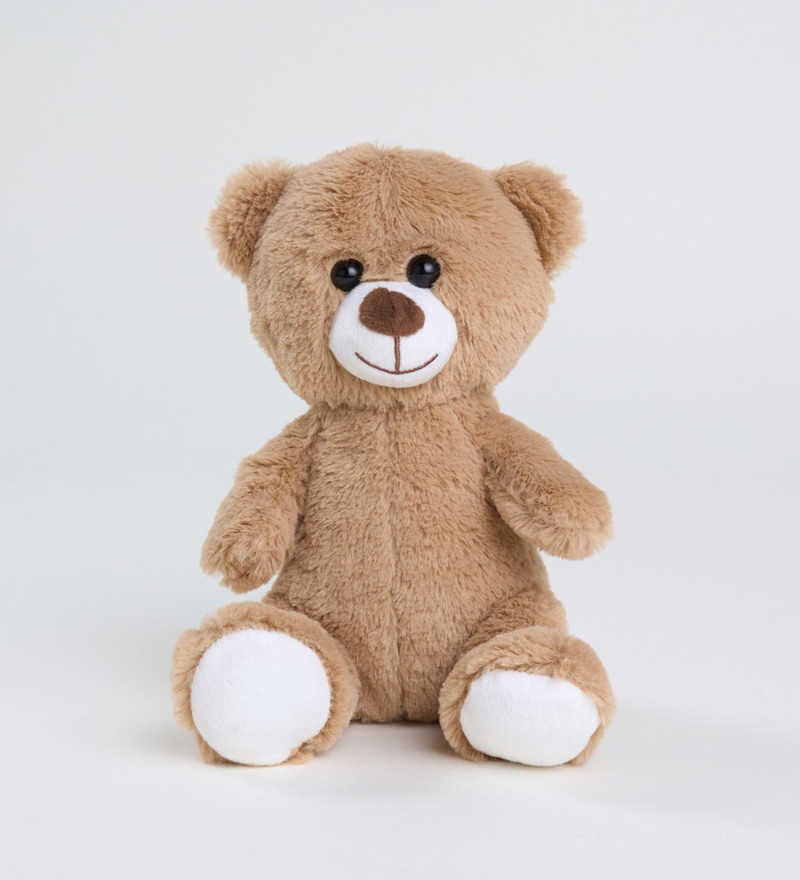 Yeşil Vazoda Kırmızı Güller ve Mutlu Ayıcık