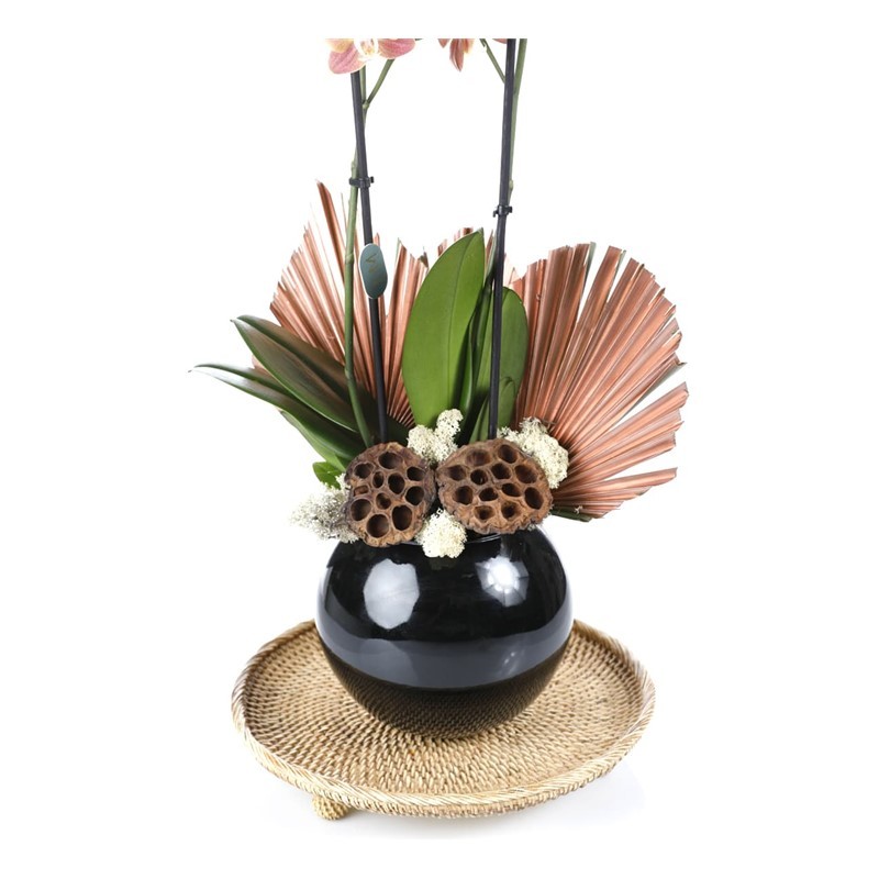 Deluxe Quality Orchid