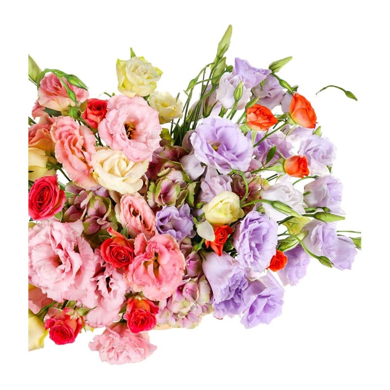Lisianthus Lovers