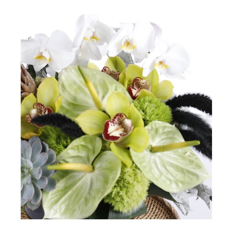 Golden Delicious Housearrangement