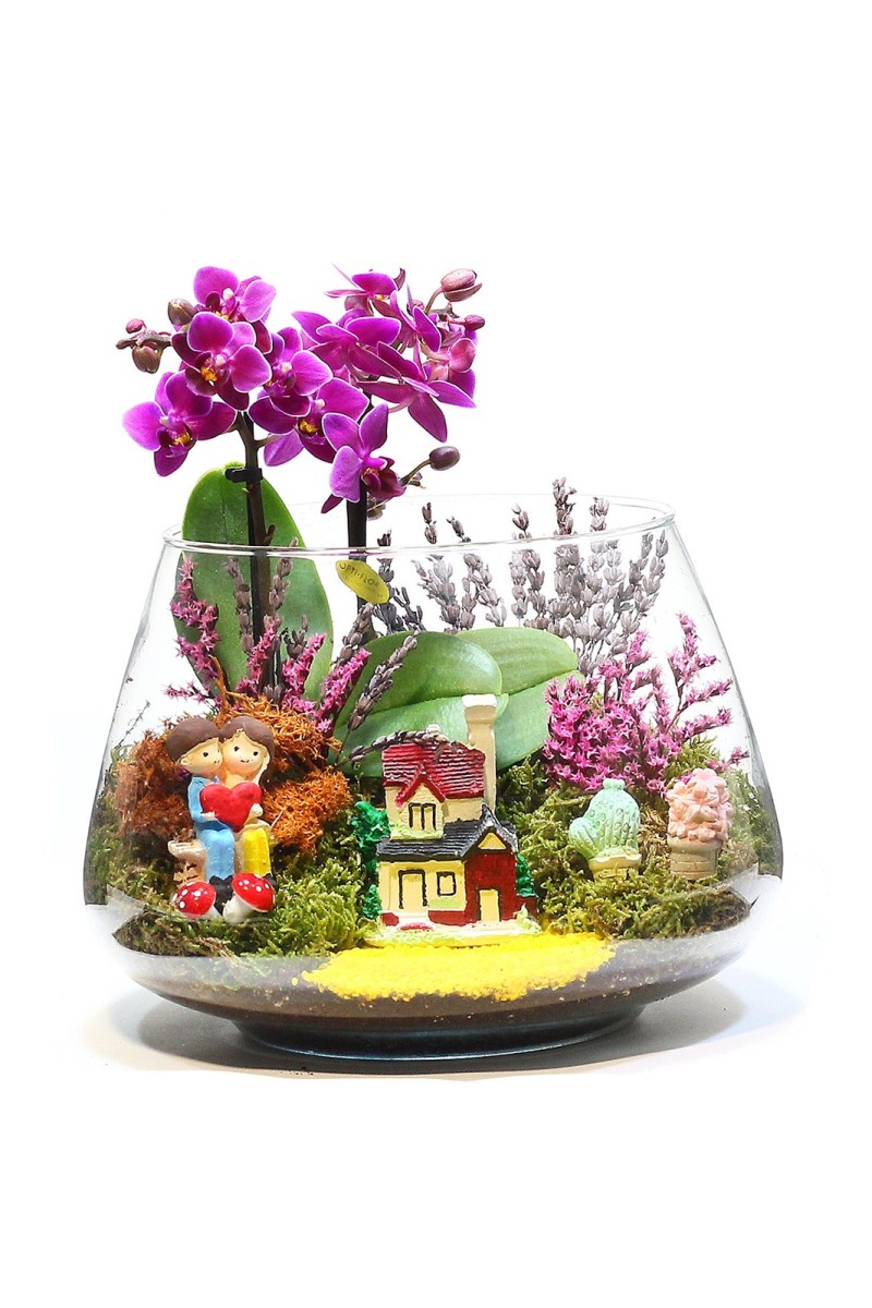 Teraryum Orkide Bahçem